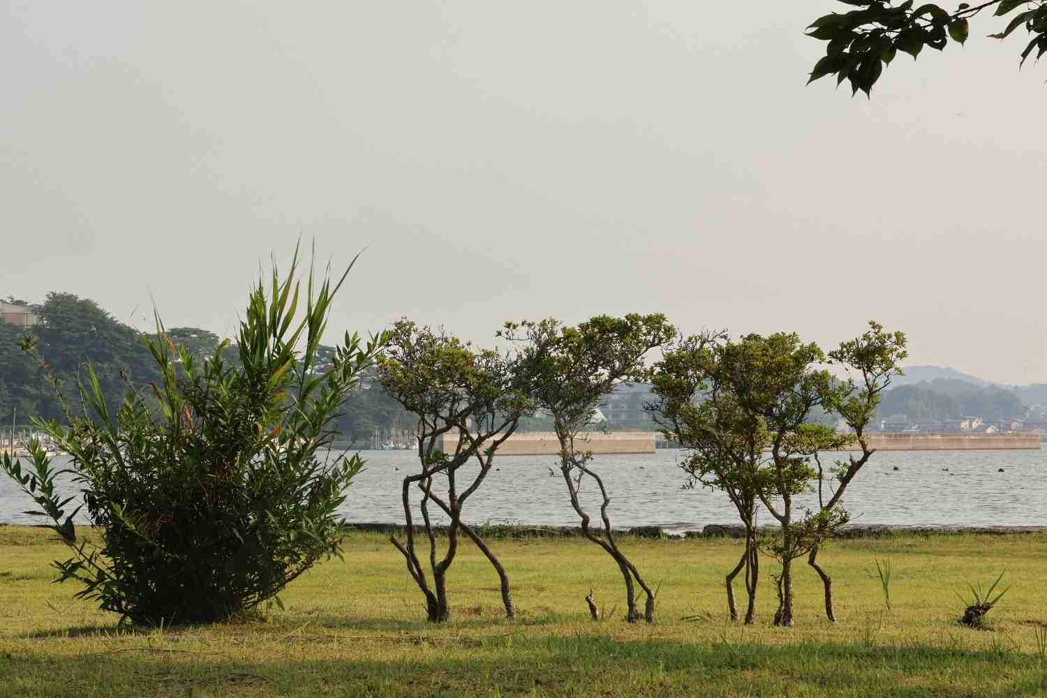 Laici Mission Centre Vision